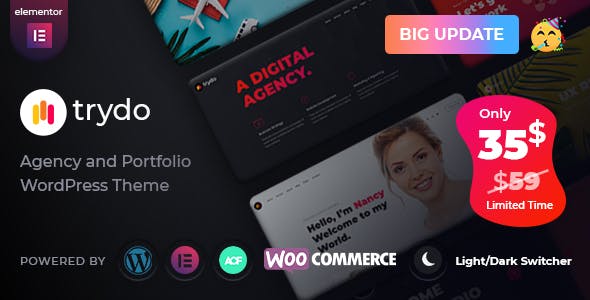 Trydo Agency and Portfolio Theme 1